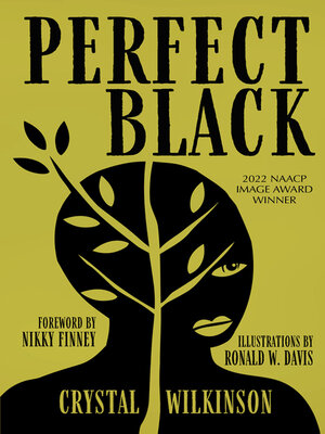 cover image of Perfect Black